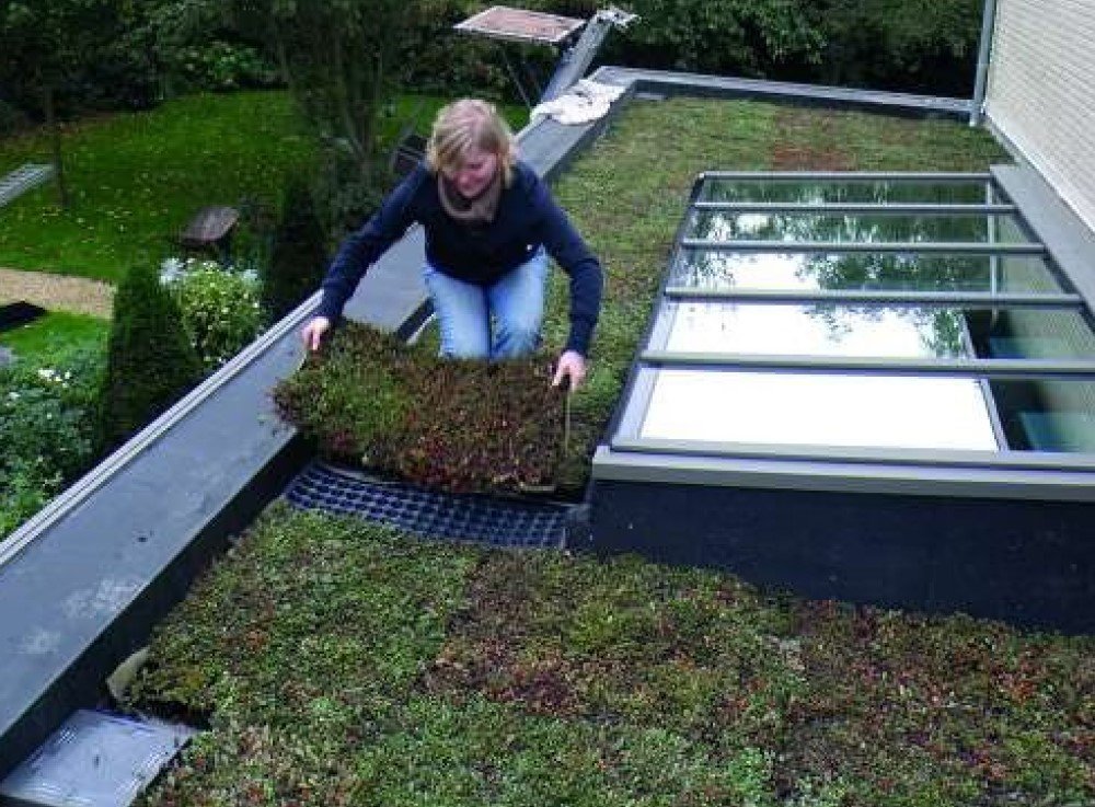 3 tips voor een perfect groendak