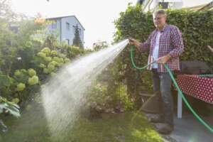Van hagen en bloemen tot het gazon: 4 tips om je tuin optimaal water te geven