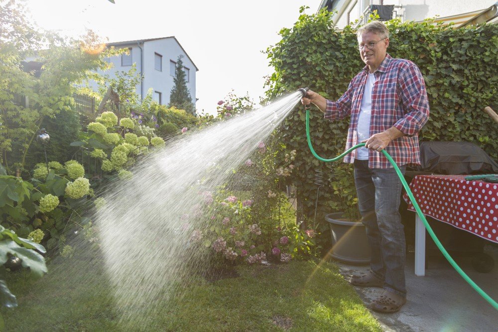 Van hagen en bloemen tot het gazon: 4 tips om je tuin optimaal water te geven