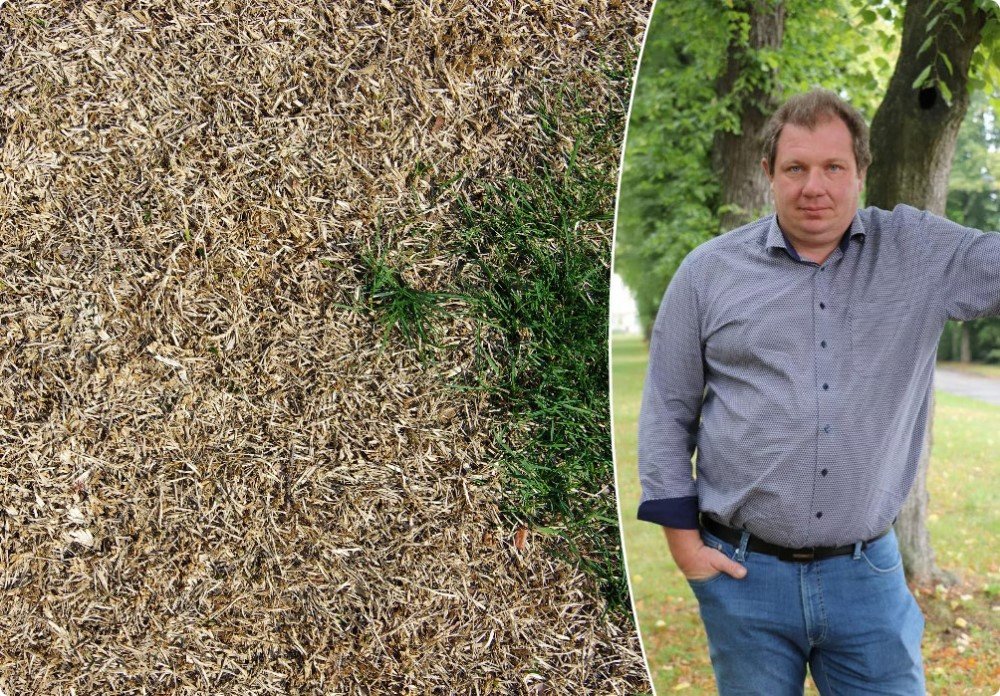 Tuinexpert Bart deelt de belangrijkste tuinklussen voor juli